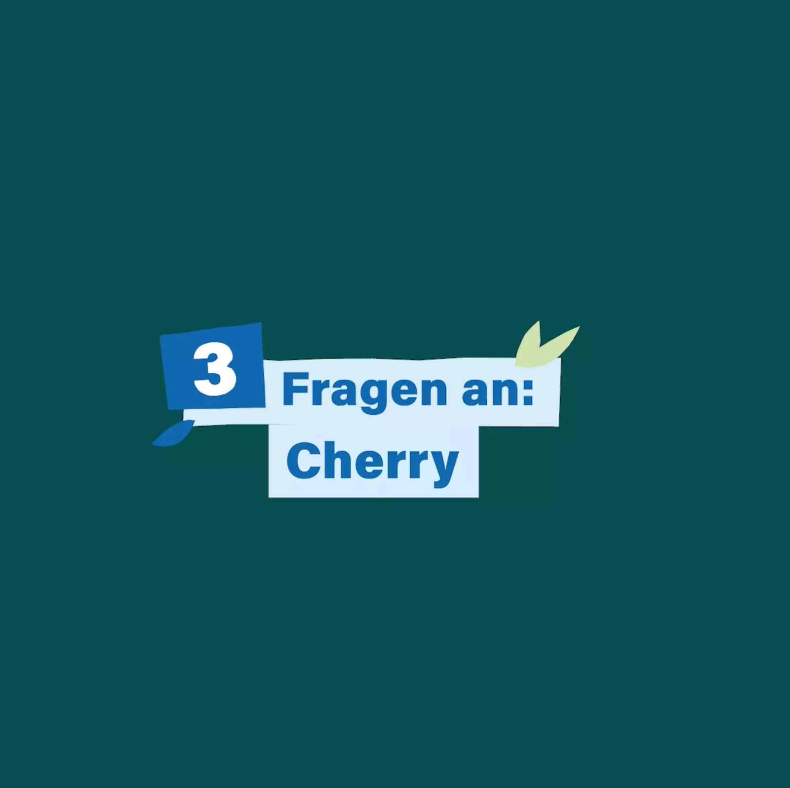 3 Fragen an: Cherry