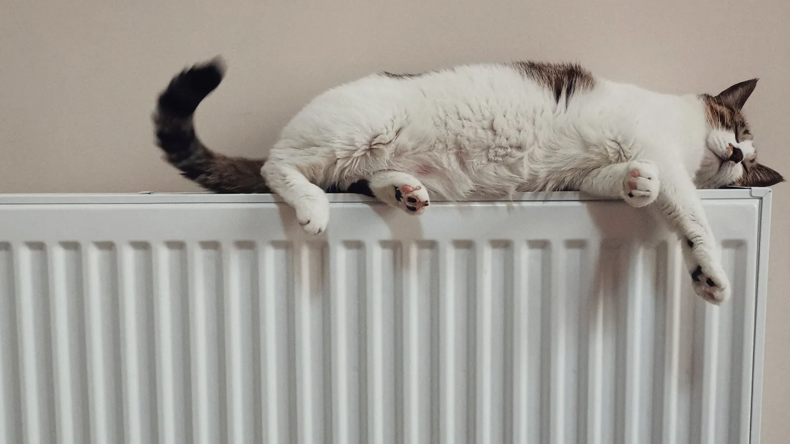 Cat lying on a heater